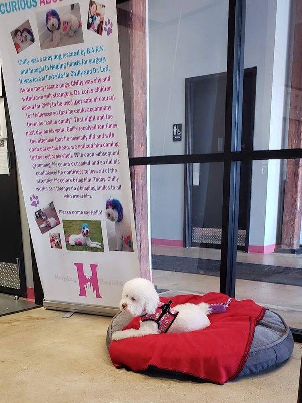 Helping Hands Veterinary Surgery and Dentistry of Virginia